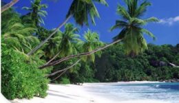 A beach in the Seychelles, off the coast of Africa.