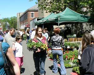 Northampton, Mass: A Top Arts and Dining City 2 The farmer's market