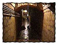 underground paris tour...Photo by Kevin Kelm