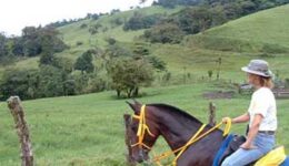 horseback-costa-rica