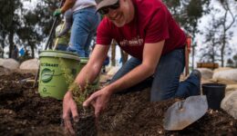 Arbor Day Lunch Planting in California