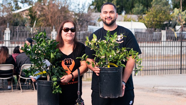 In the San Fernando Valley, residents can get free fruit trees from Tree People to plant in their yards.