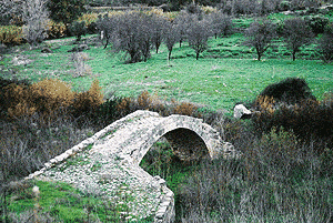 Rural scene on the Cyprus coast. photo: Wayne Milstead.
