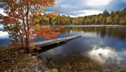 White Mountain National Forest; gorgeous at any time of year.