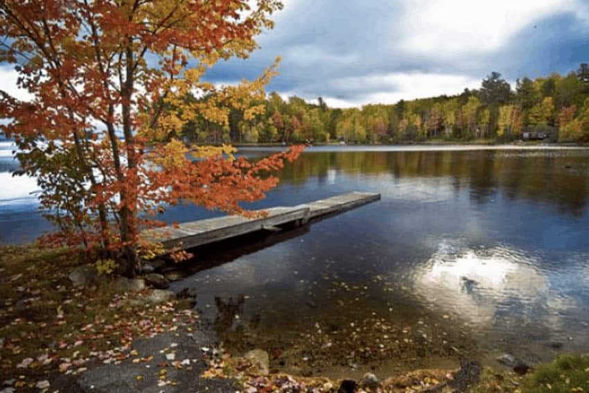 White Mountain National Forest; gorgeous at any time of year.