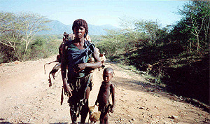 The Journey to Bahir Dar, Ethiopia 2 On the road to Bahir Dar. photo: Dana Hearn