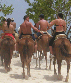 Riding horses, snorkeling, touring ruins...and all the while learning Spanish!