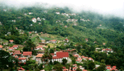 colonia tovar