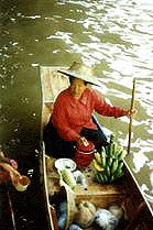 travel diets,lose weight