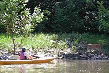 Maryland is a paradise for paddlers. Mary Burnham photos.