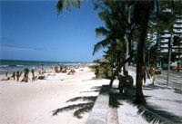 Brazil: Learning through International Volunteering 4 brazil,volunteering