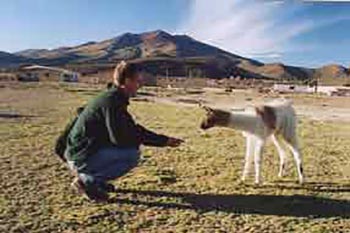 Meeting a friendly llama in Bolivia. 