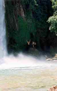 Cliff jumping into the cool water beneath Havasu Falls is one of the many ways to spend your days.