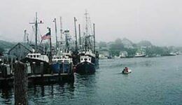harbor_scene_nova_scotia