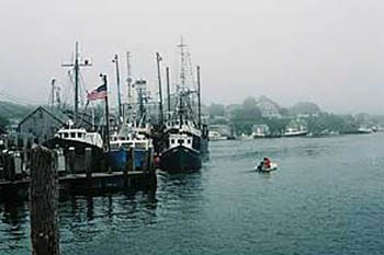 Harbor at Nova Scotia. photos by Kent E. St. John.