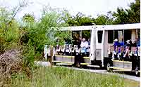 Riders enjoy the sights in comfort from the tram.