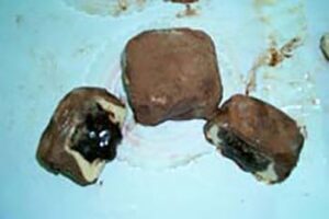 Gelato Heaven in Italy tartufo