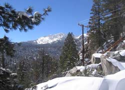 Mountain Station on the Aerial Tram, where it was 31 degrees with five inches of snow. At the Valley base, it was 71 degrees.