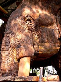Giant elephant carving made of wood.