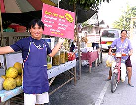 Roadside stand in Chiang Mai Thailand. photos by Terry Bravermann.