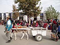 Outside local market.