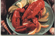 They call these bugs up in Belfast Maine