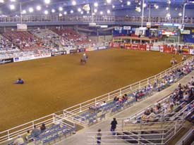 Dallas: Museums, Walking and More! 11 Mesquite rodeo.