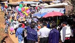 Hmong New Year