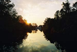 By the Banks of the Suwannee: Natural Northern Florida 1 Suwanee River sunset. photos by Shady Hartshorne.