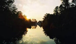 by-banks-suwannee