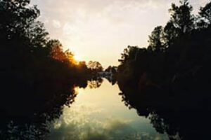 by-banks-suwannee
