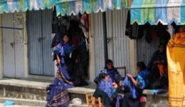 chiapas-purple