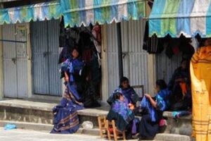 Palenque: Secret City of the Maya chiapas-purple