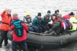 Zodiac in Antarctica