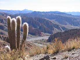 Outside of Tupiza, Bolivia