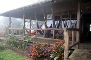 An 'Eco-Lodge' in Ecuador's Cloud Forest eco-lodge-ecuador