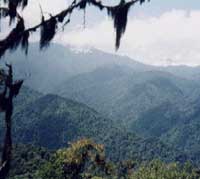 The view from the lodge - photo courtesy of Santa Lucia Cooperative
