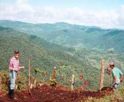 The very first volunteer at the Eco-Lodge, Laila, is shown in the organic garden. Photo courtesy of Santa Lucia Cooperative