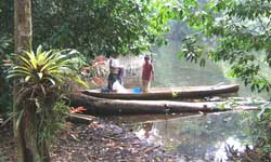 Mayan people on Rio Tatin