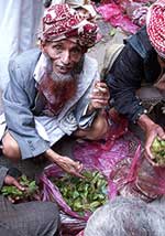 qat seller
