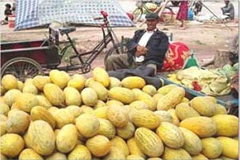 kashgar-melons