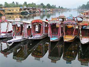 Shikaras on Dal Lake