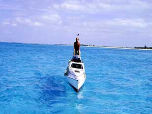 Pedaling to Hawaii: Biking Across the Ocean 5 Pedaling,Hawaii,ocean