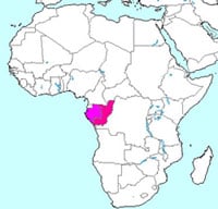 Gabon and The Republic of Congo