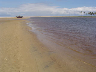 The beach at Praia Do Forte