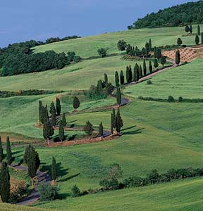 Tuscan Spa Relieves 'Tourist Tension' 2 The view from the spa