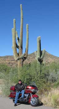 Dan is shown with a seguaro cactus.