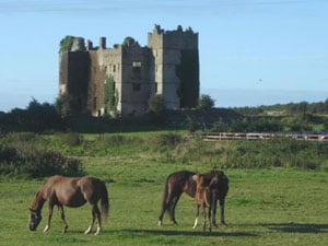 The scenery around Loughmore