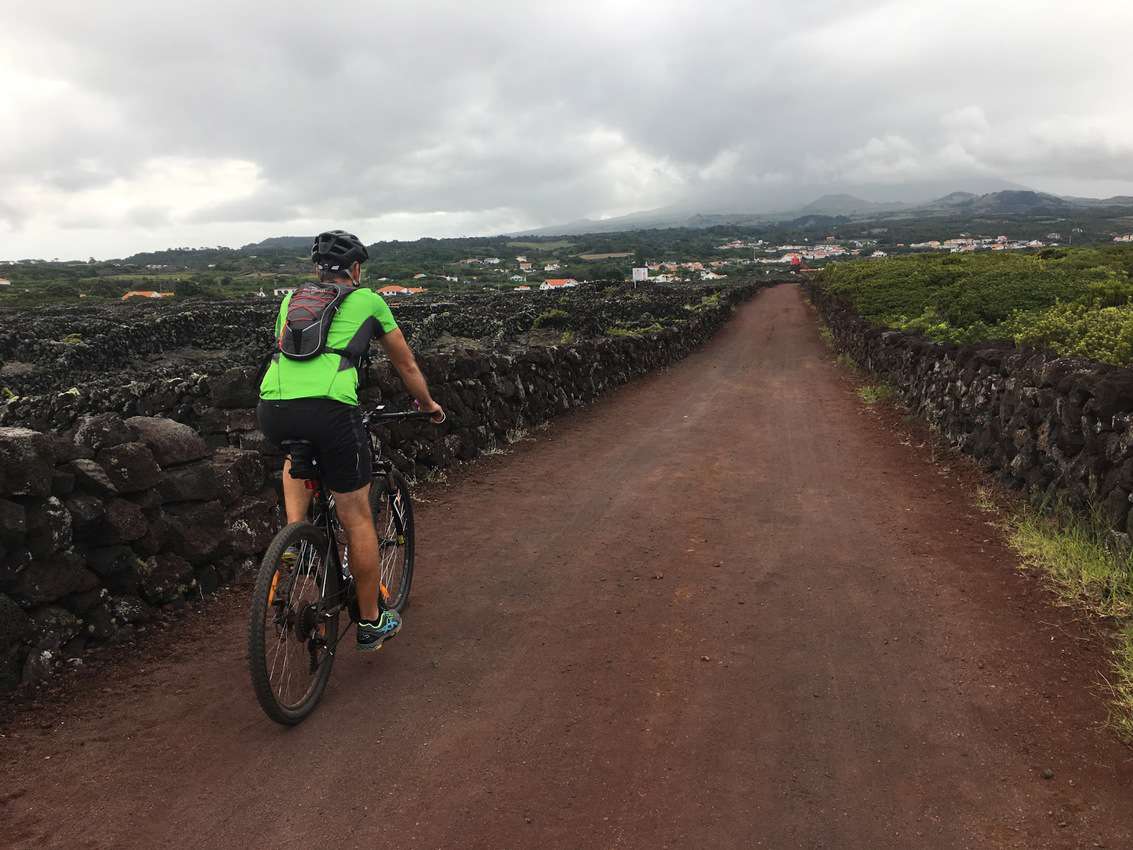 biking the volcanic fields in Pico