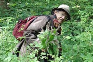 Eating the French Countryside couplan_collecting